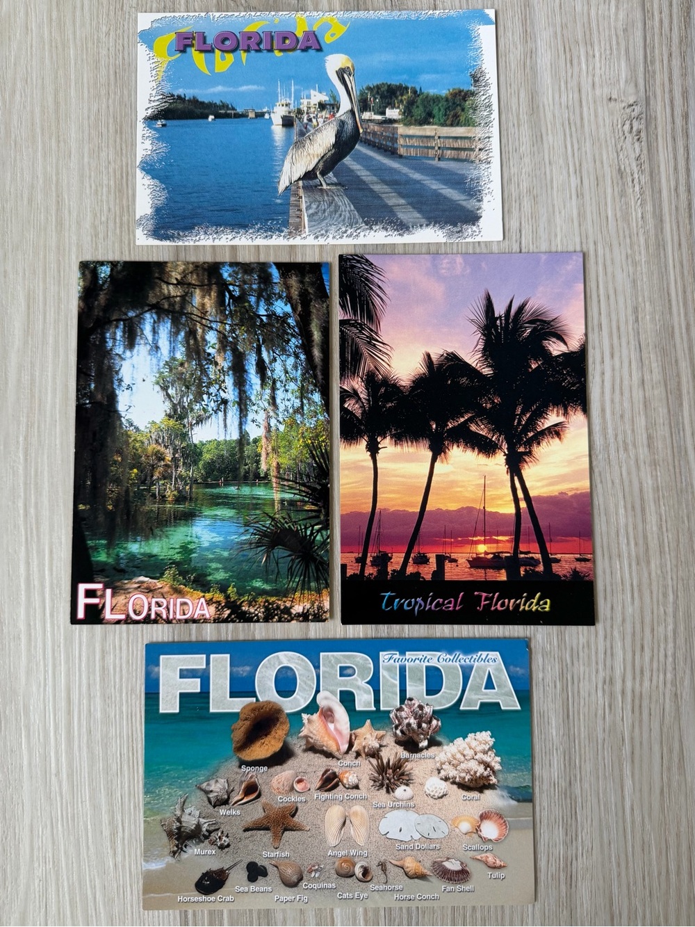 Vintage FLORIDA Postcards Lot of 4 Retro Souvenir Travel Tourist Memorabilia